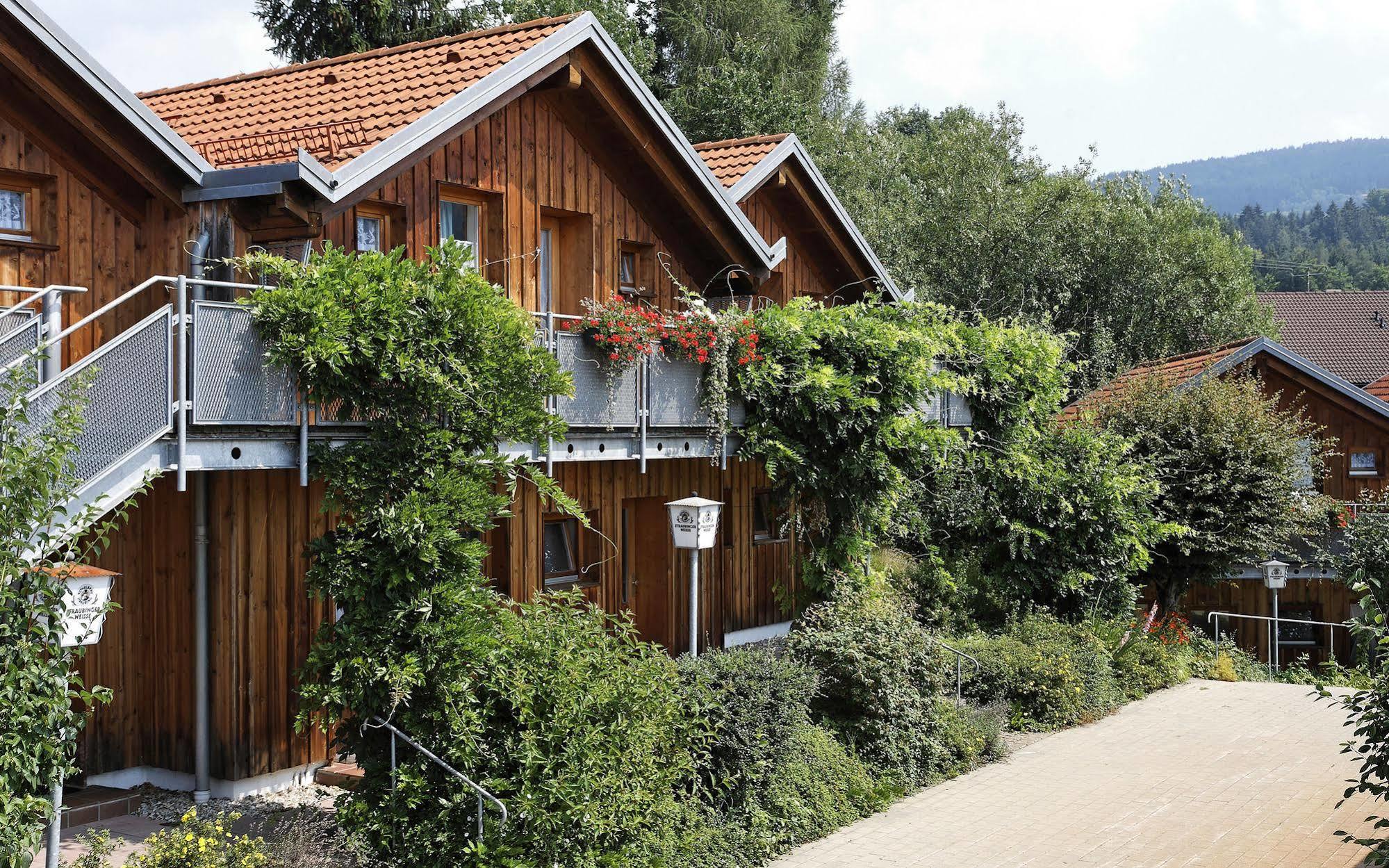 Village Hotel Bayerischer Wald Neukirchen  Exterior photo