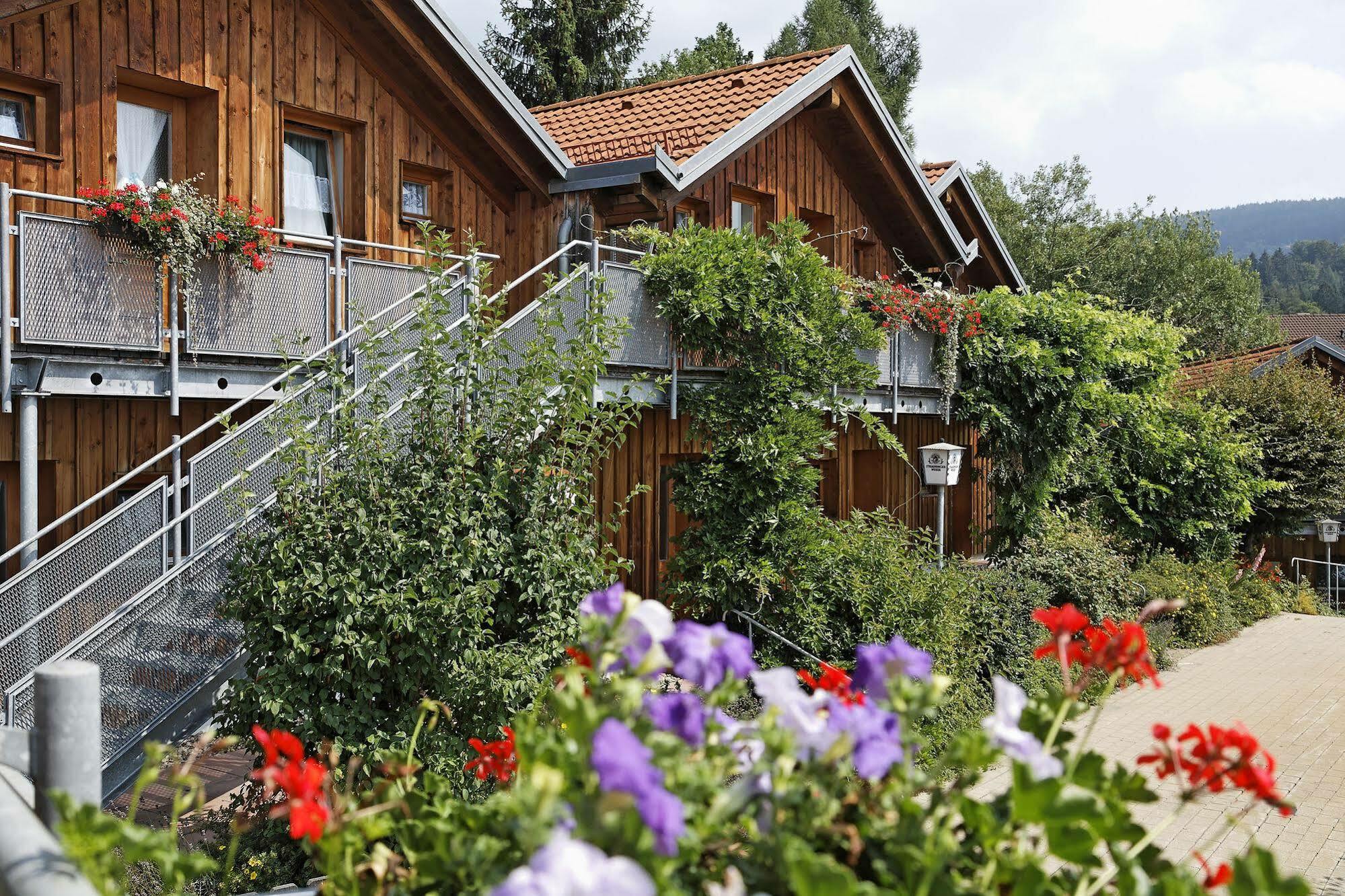 Village Hotel Bayerischer Wald Neukirchen  Exterior photo